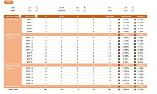 Absenteeism Report in Excel - Image 6