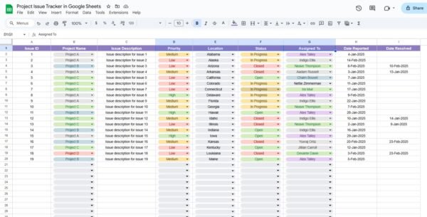 Project Issue Tracker in Google Sheets - Image 3