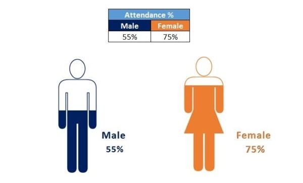 Male and Female Info-graphics in Excel - Image 2