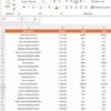 Non-Profit KPI Dashboard in Power BI - Image 7