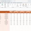 Non-Profit KPI Dashboard in Excel - Image 5
