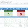 Weight Loss Tracker Checklist in Google Sheets - Image 2