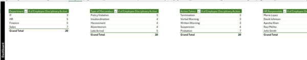 Employee Disciplinary Action Tracker in Excel - Image 9