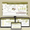 Healthcare Dashboard in Excel