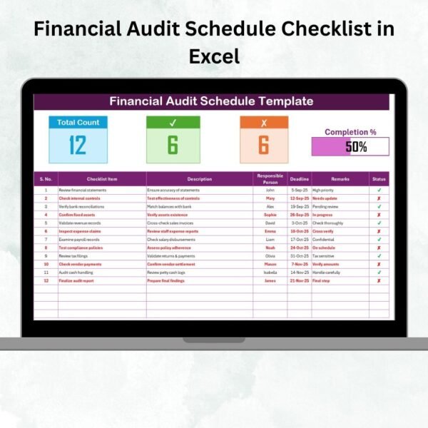 Financial Audit Schedule Checklist in Excel