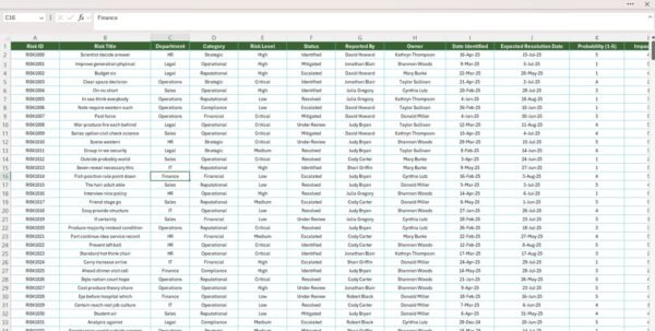 Risk Management Report in Excel - Image 4