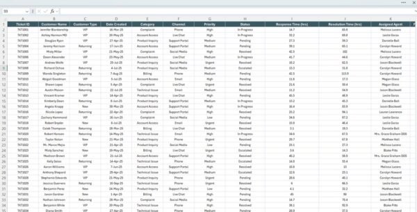 Customer Support Report in Excel - Image 4