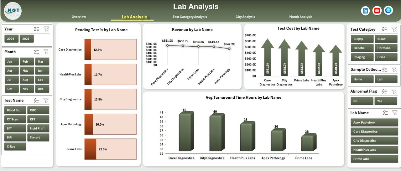 Pathology Labs Dashboard in Excel - Image 3