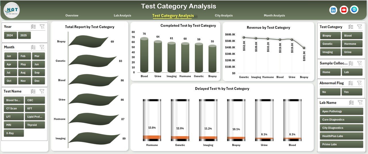 Pathology Labs Dashboard in Excel - Image 4
