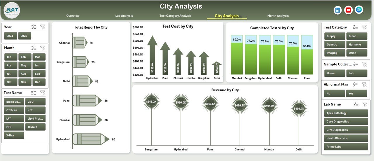 Pathology Labs Dashboard in Excel - Image 5