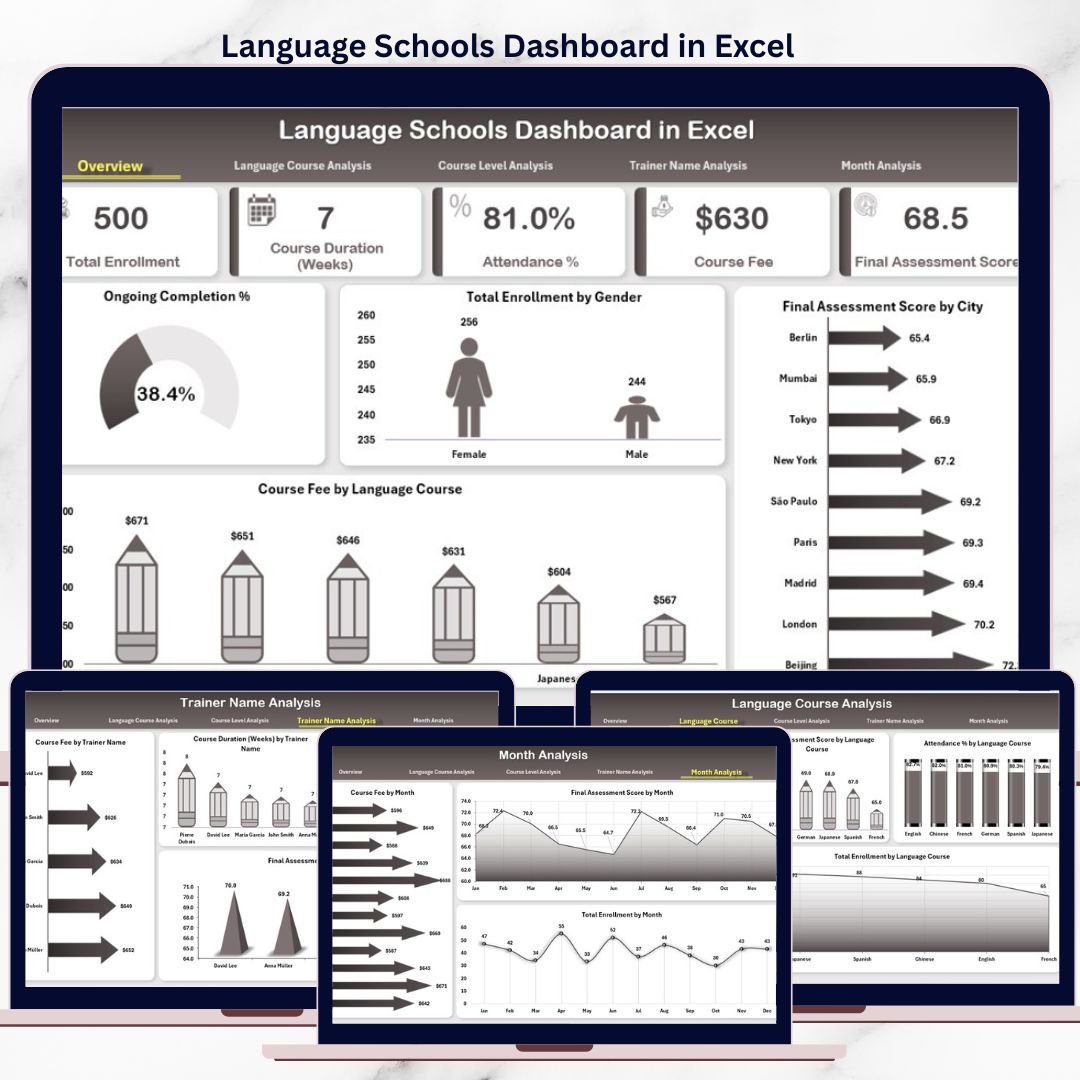 Language Schools Dashboard in Excel