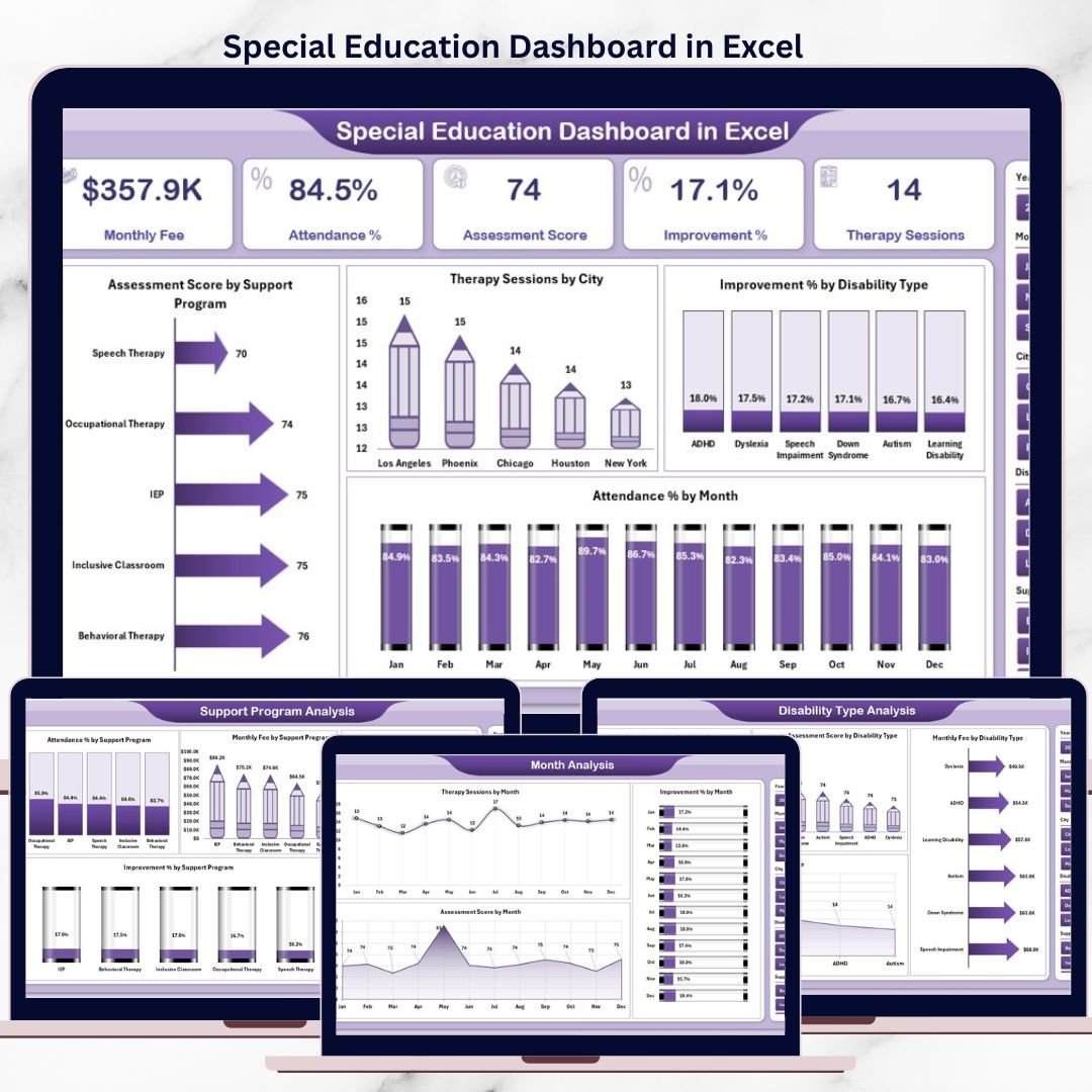 Special Education Dashboard in Excel