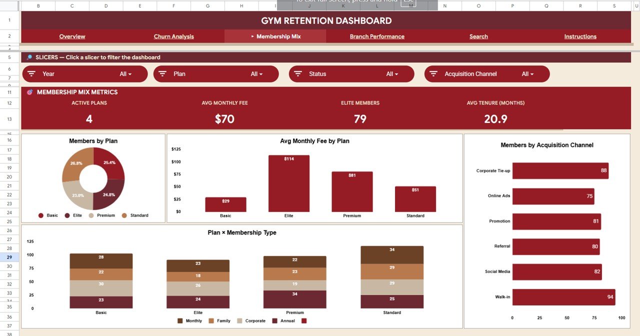Gym Retention Dashboard - Membership Mix