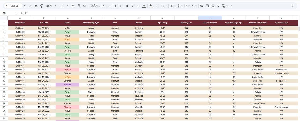 Gym Retention Dashboard - Data Sheet tab