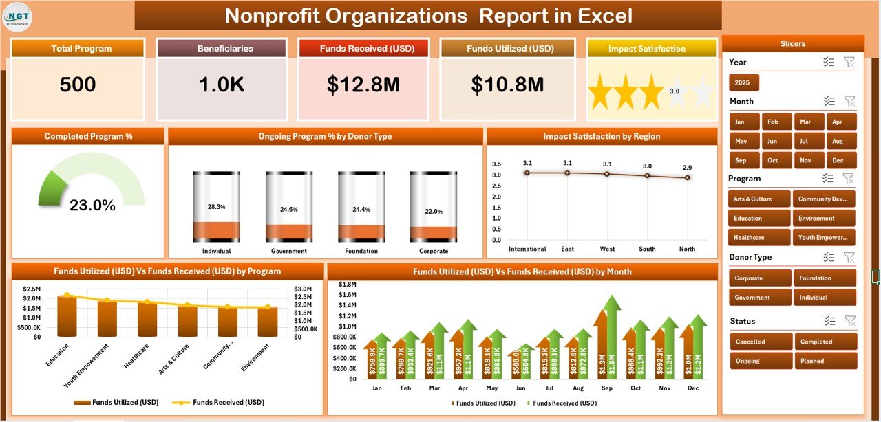 Nonprofit Organizations Report in Excel