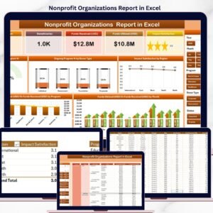 Nonprofit Organizations Report in Excel