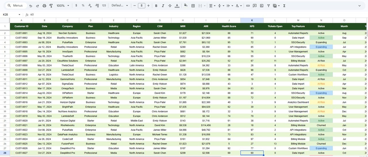 SaaS Customer Success Dashboard - Data Sheet