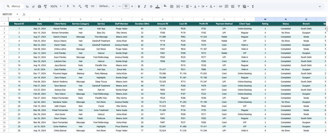 Salon and Spa Dashboard - Data Sheet