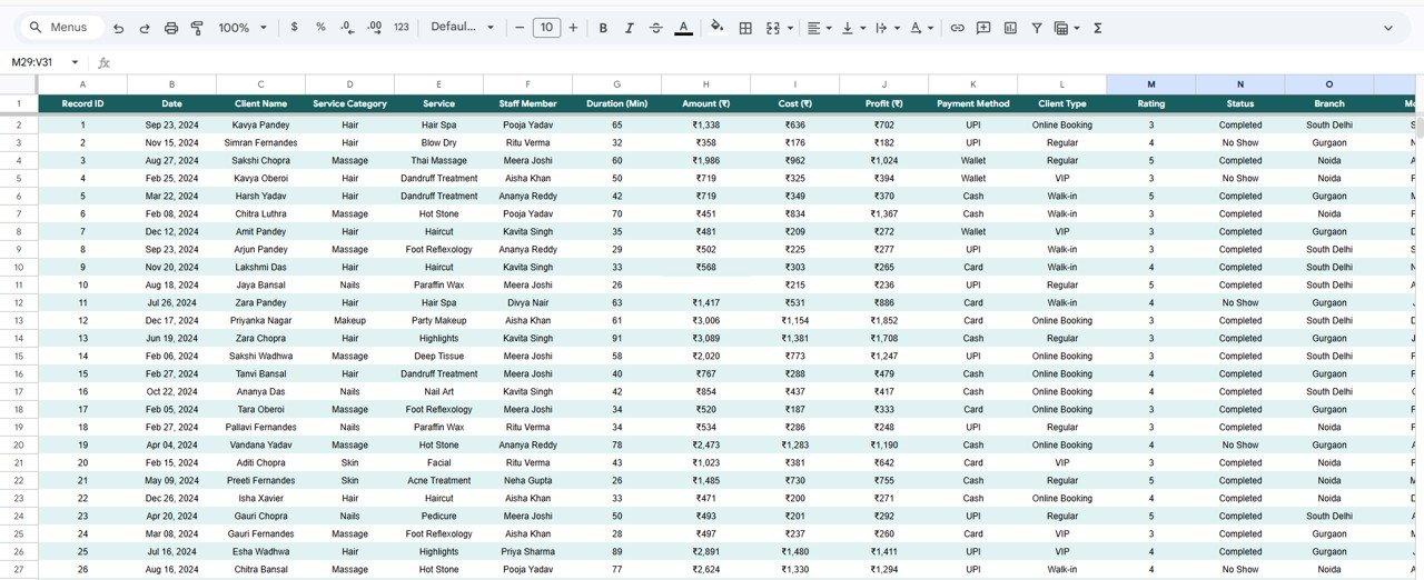Salon and Spa Dashboard - Data Sheet