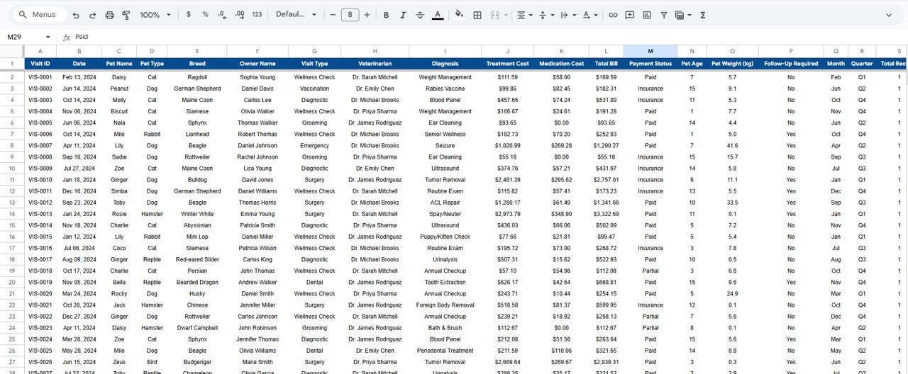 Veterinary Clinic Dashboard in Google Sheets - Data Sheet