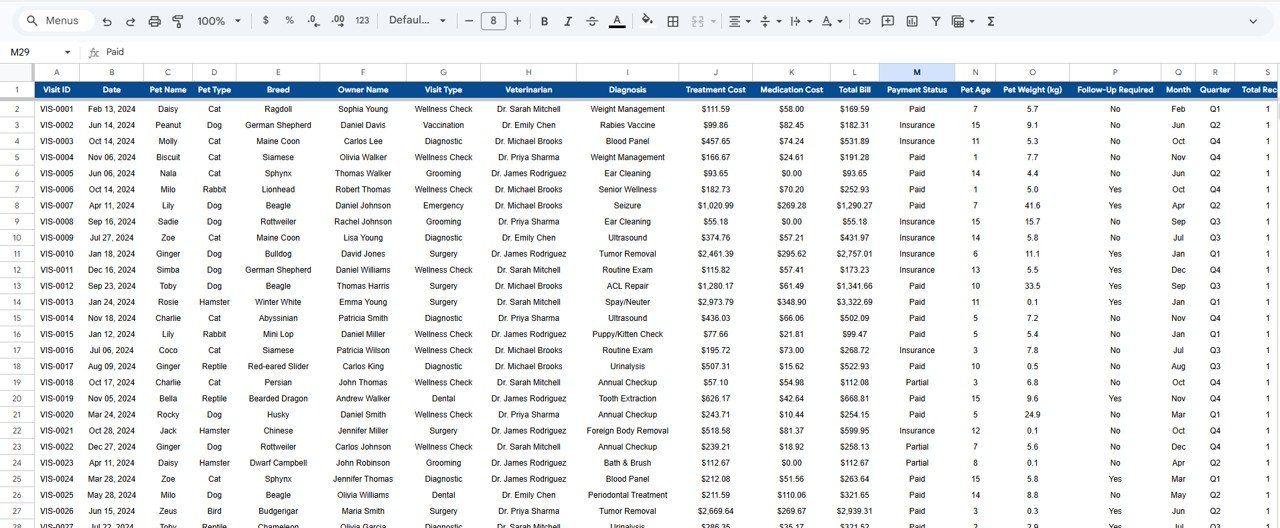Veterinary Clinic Dashboard in Google Sheets - Data Sheet