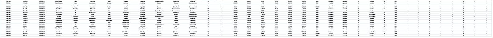 Business Travel Services Dashboard in Excel - Data Sheet Tab