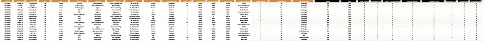 Cardiac Care Units Dashboard in Excel - Image 8