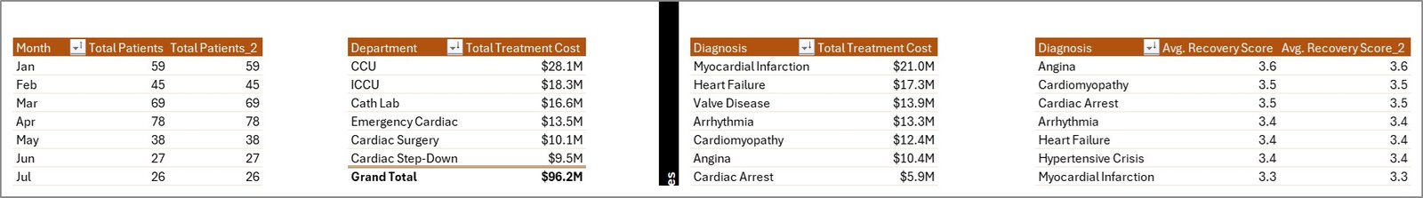 Cardiac Care Units Dashboard in Excel - Image 7