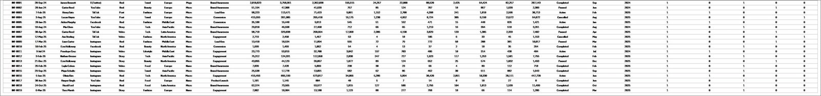Influencer Campaign Dashboard in Excel – Data Sheet tab