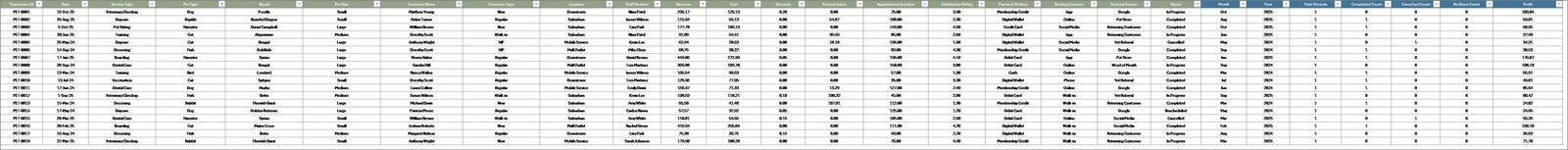 Pet Care Business Dashboard in Excel - Data Sheet
