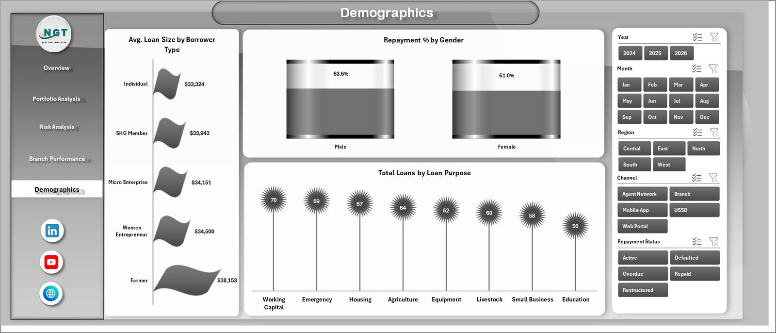 Digital Microloans Dashboard in Excel demographics page