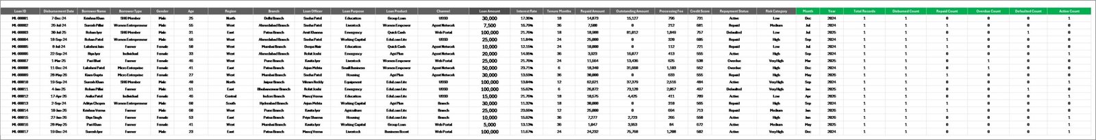 Digital Microloans Dashboard in Excel data sheet tab