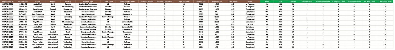 Executive Coaching Dashboard in Excel Data Sheet