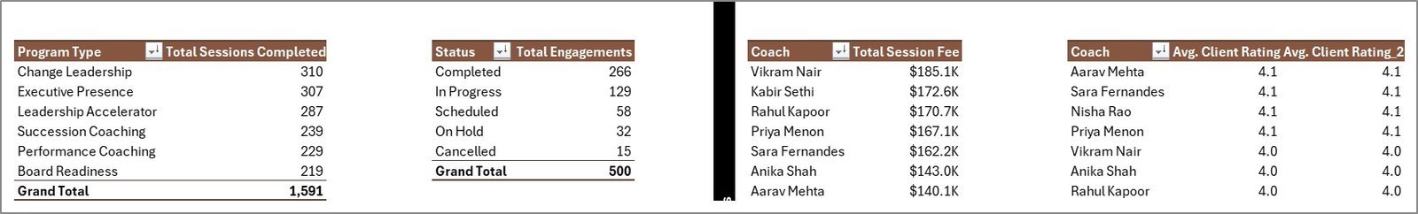Executive Coaching Dashboard in Excel Support Sheet
