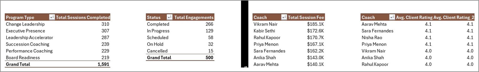 Executive Coaching Dashboard in Excel Support sheet tab