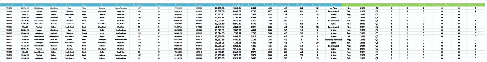 Data sheet tab in Franchise Management Dashboard in Excel