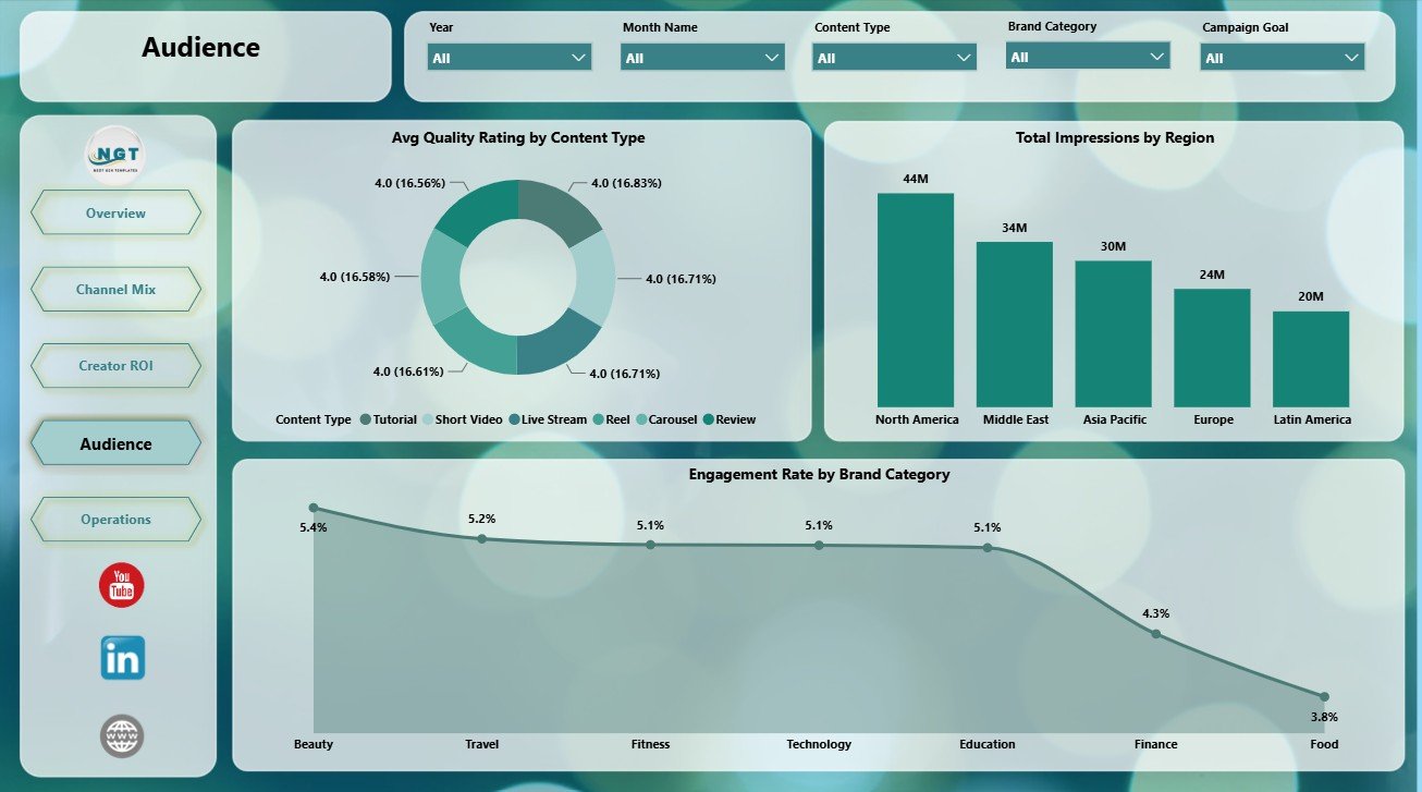 Audience page in Influencer Collectives Dashboard in Power BI