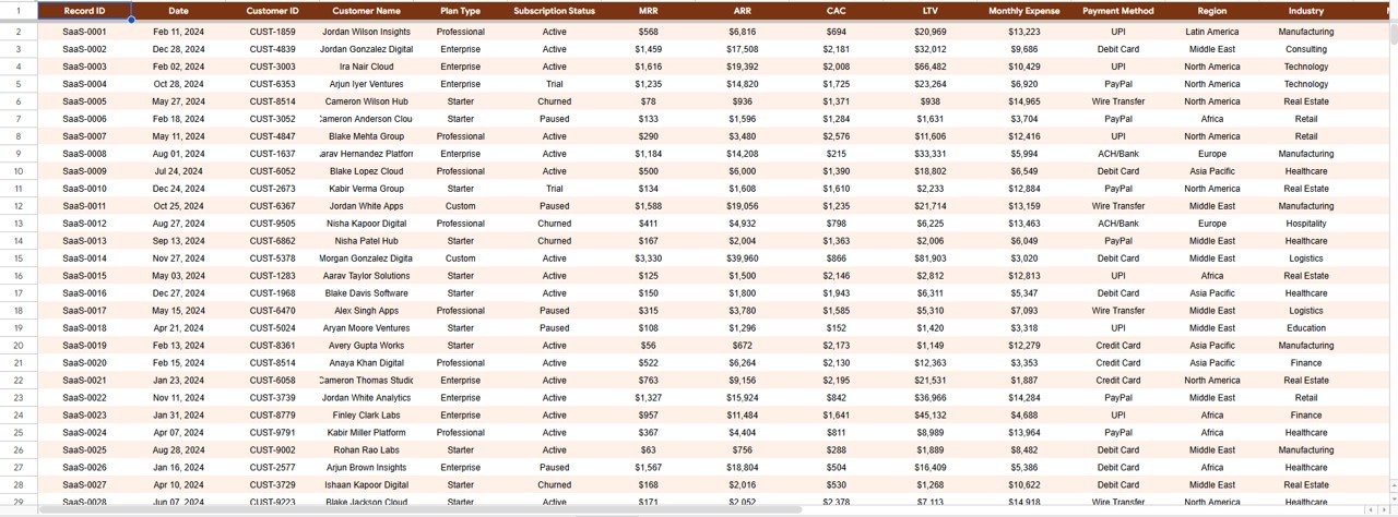 SaaS Financial Performance Dashboard in Google Sheets - Data Tab