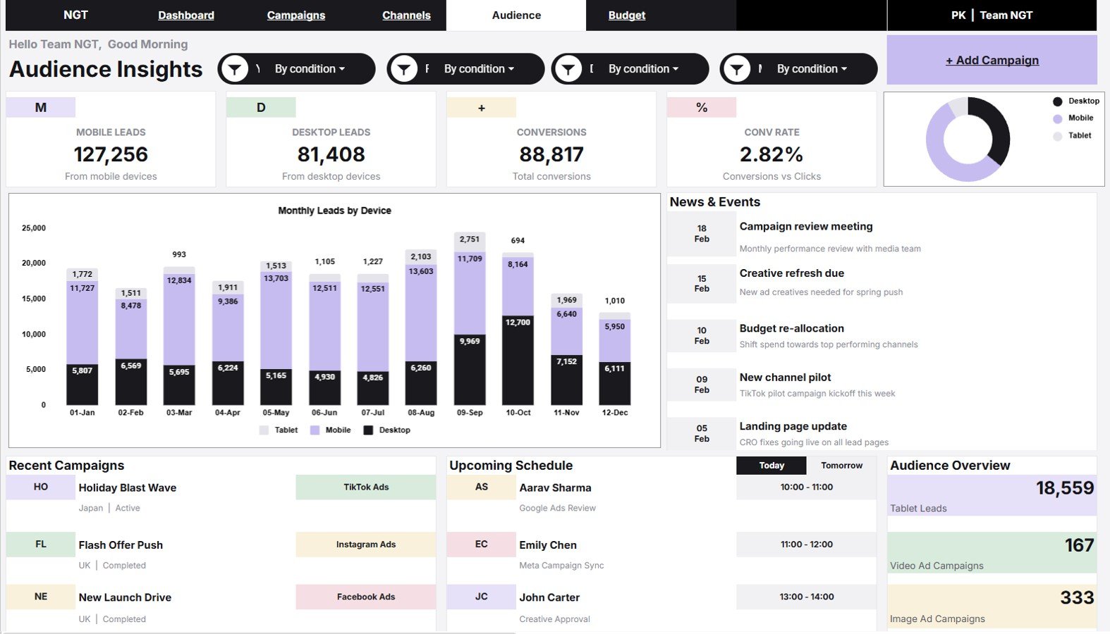 Audience Insights page in Advertising Dashboard in Google Sheets