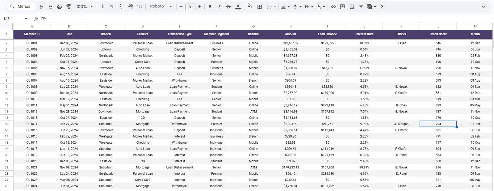 Data Sheet tab in Credit Union Dashboard in Google Sheets