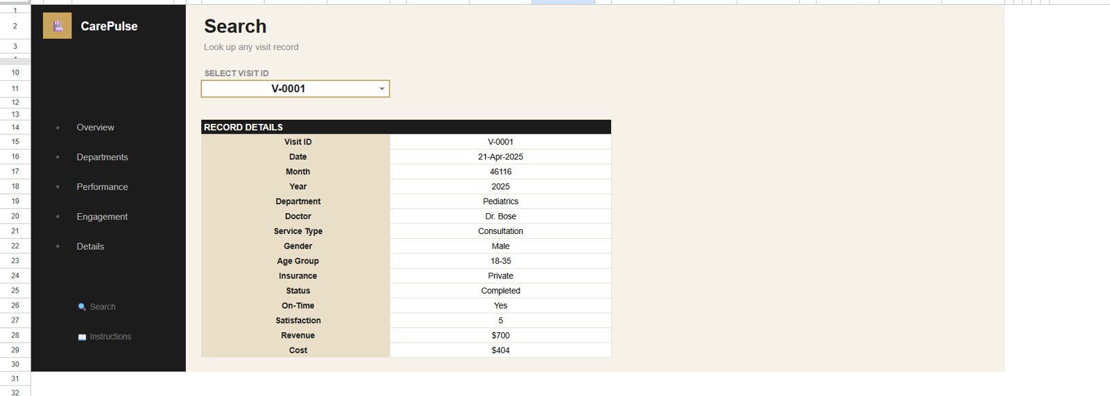 Search Sheet tab in Healthcare Services Dashboard in Google Sheets