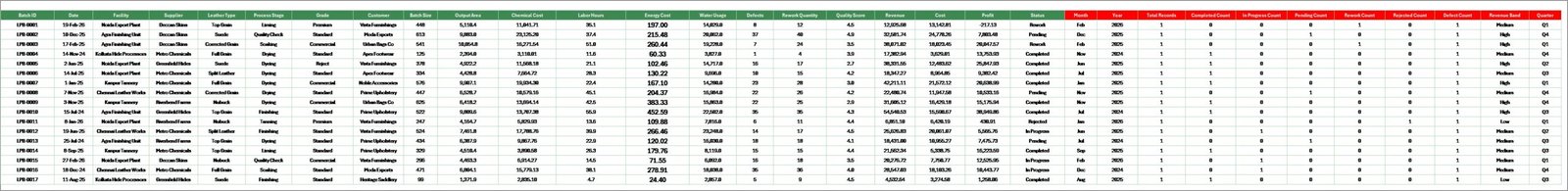 Data Sheet tab in Leather Processing Dashboard in Excel