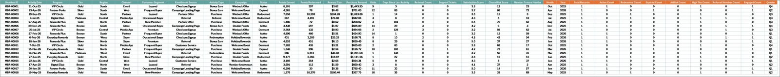 Data Sheet tab in Loyalty Programs Management Dashboard in Excel