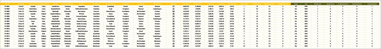 Medical Tourism Dashboard in Excel data sheet tab