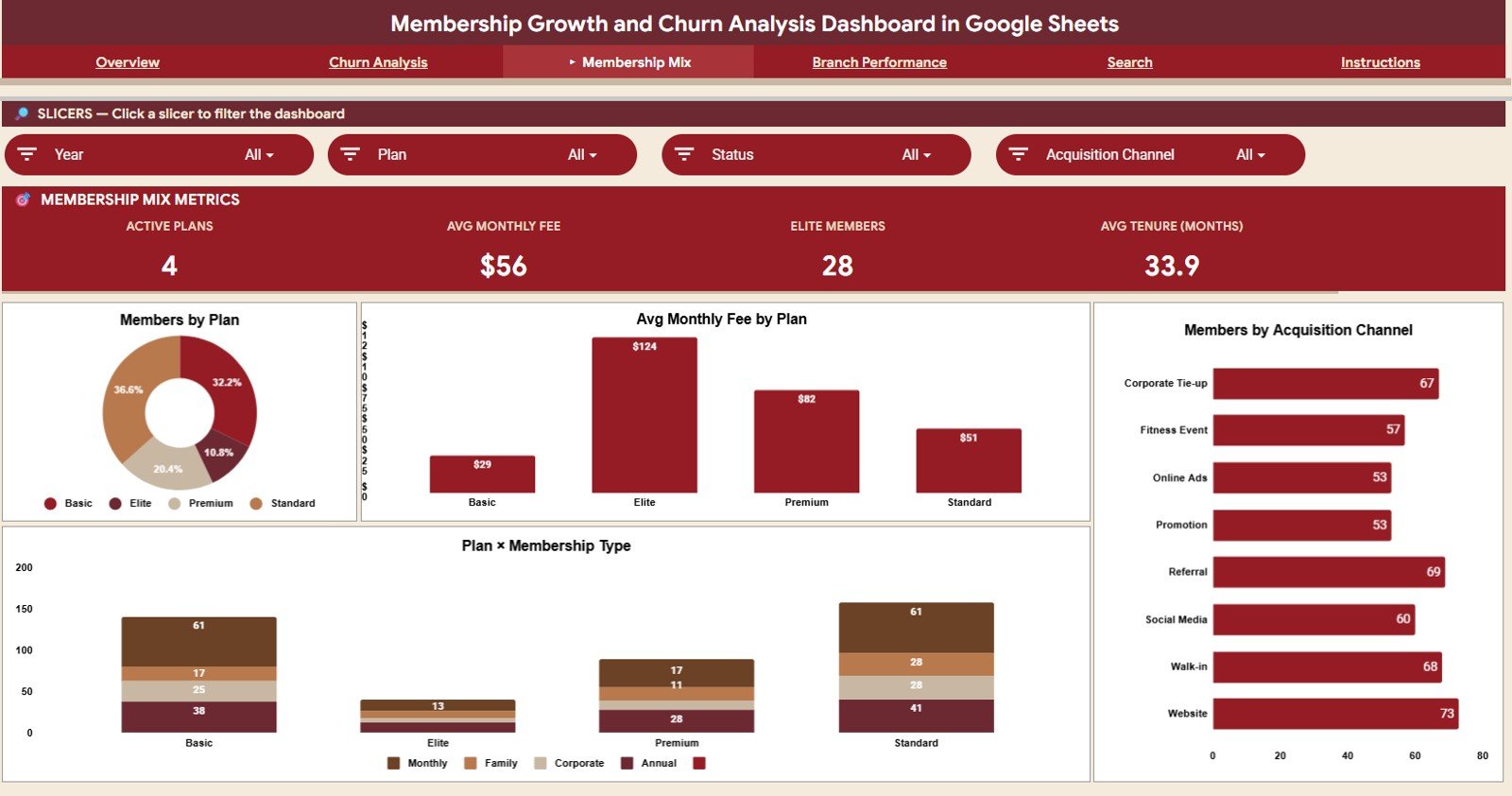 Membership Mix tab in the Membership Growth and Churn Analysis Dashboard