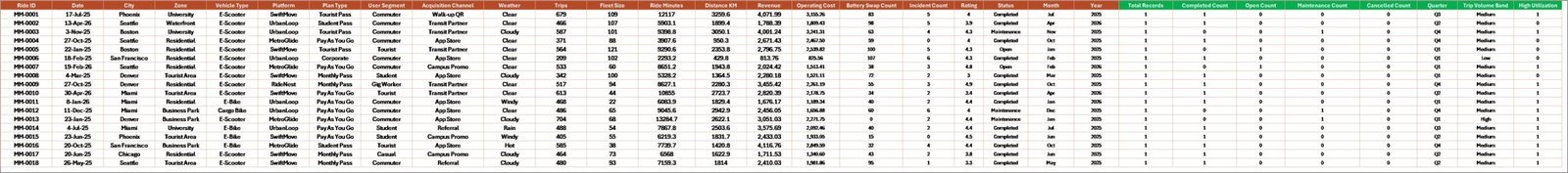 Data Sheet tab in Micro-Mobility Platforms Dashboard in Excel