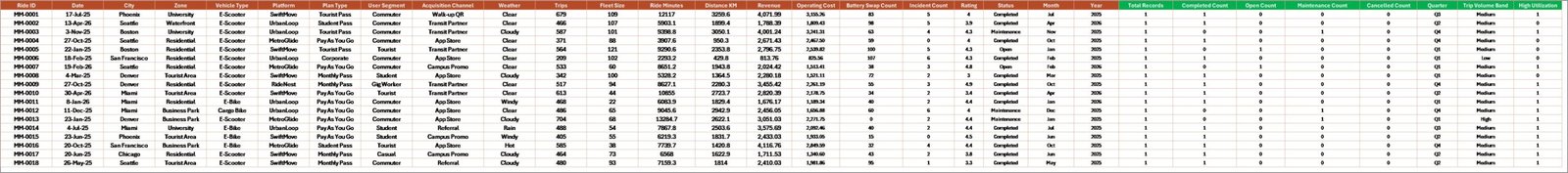 Data Sheet tab in Micro-Mobility Platforms Dashboard in Excel