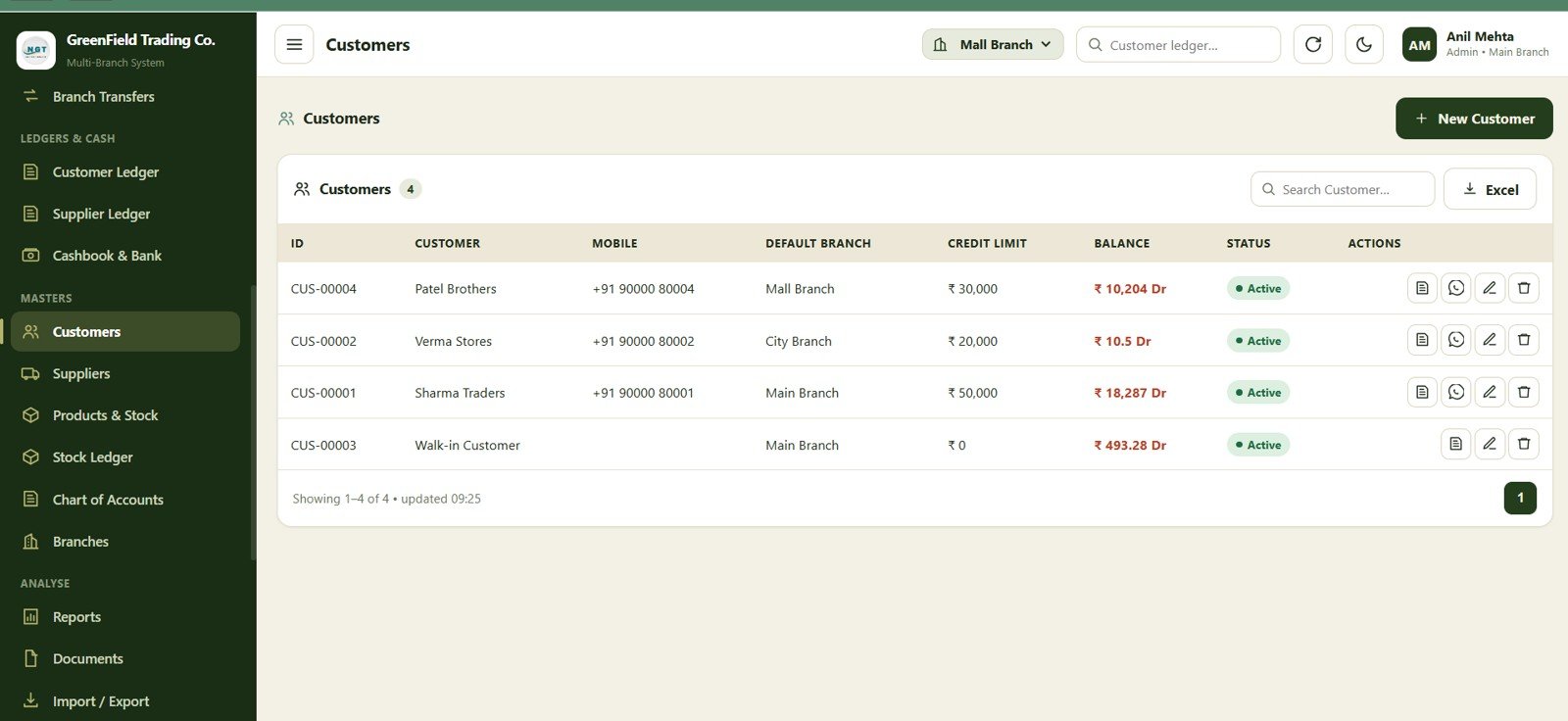 Customers master data page in the accounting management system