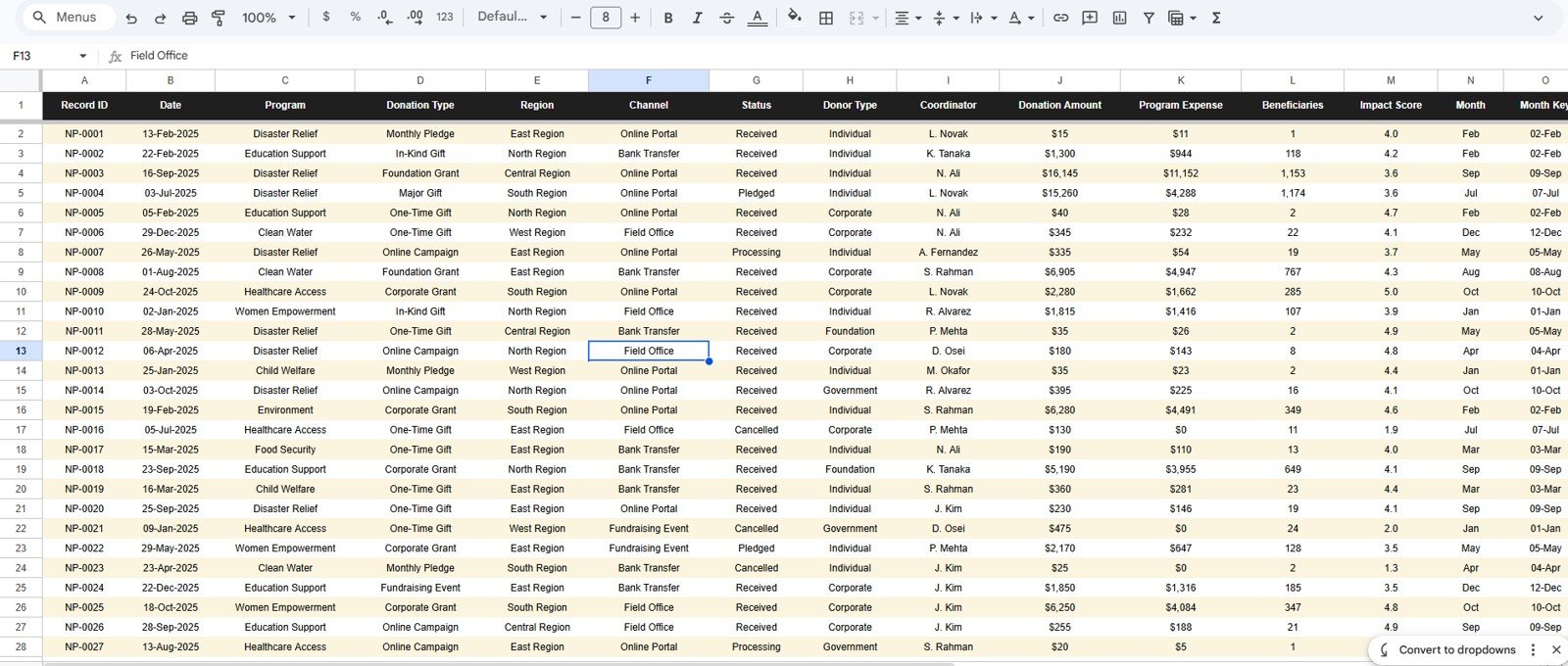 Nonprofit Organizations Dashboard in Google Sheets - Data Sheet
