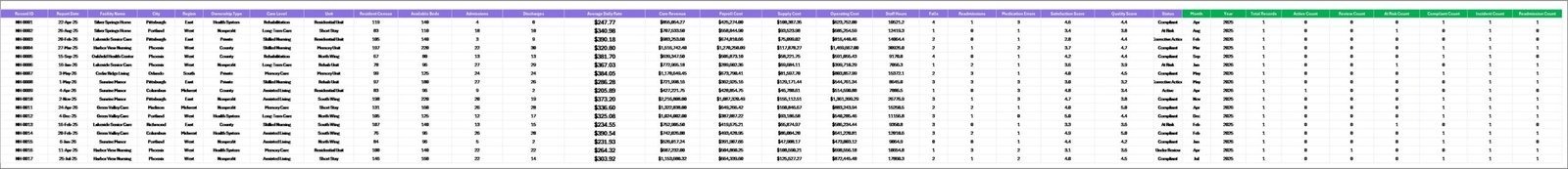 Nursing Homes Dashboard in Excel Data Sheet tab
